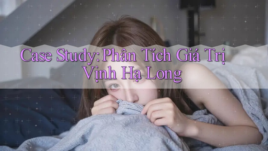 Case Study: Phân Tích Giá Trị Vịnh Hạ Long Case Study: Phân Tích Giá Trị Vịnh Hạ Long