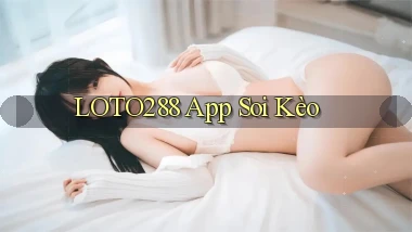 loto288 app soi kèo