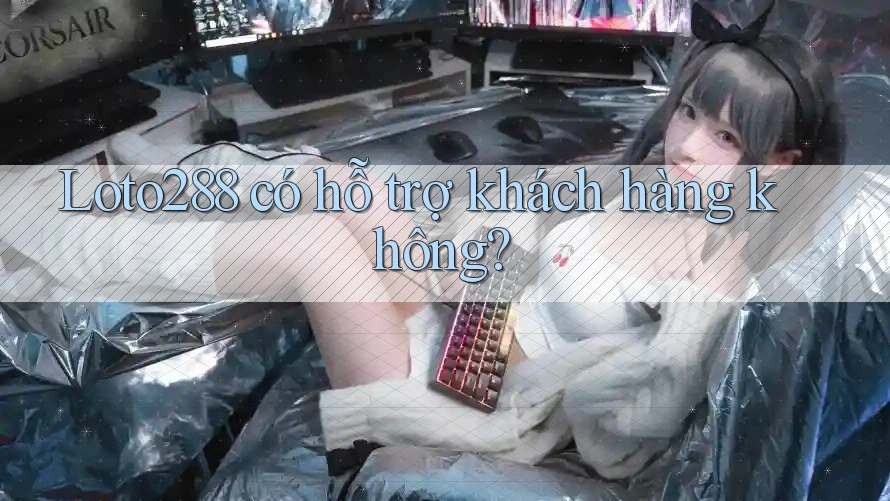 Loto288 có hỗ trợ khách hàng không? Loto288 có hỗ trợ khách hàng không?
