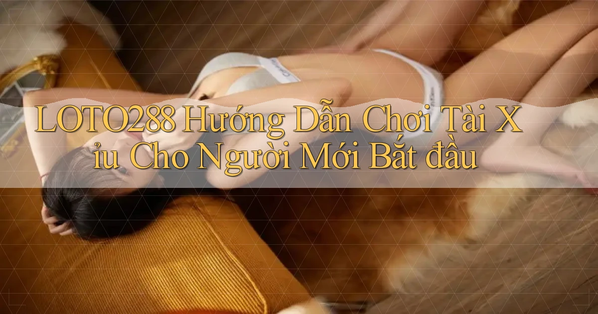 loto288 hướng dẫn chơi tài xỉu cho người mới bắt đầu