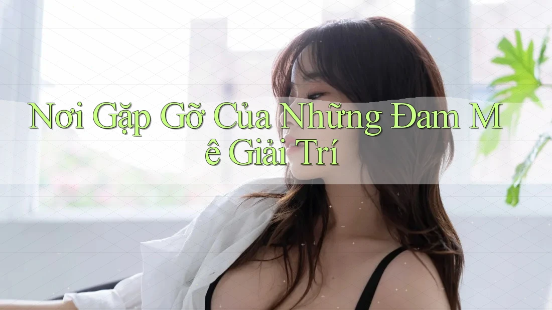 Nơi Gặp Gỡ Của Những Đam Mê Giải Trí Nơi Gặp Gỡ Của Những Đam Mê Giải Trí