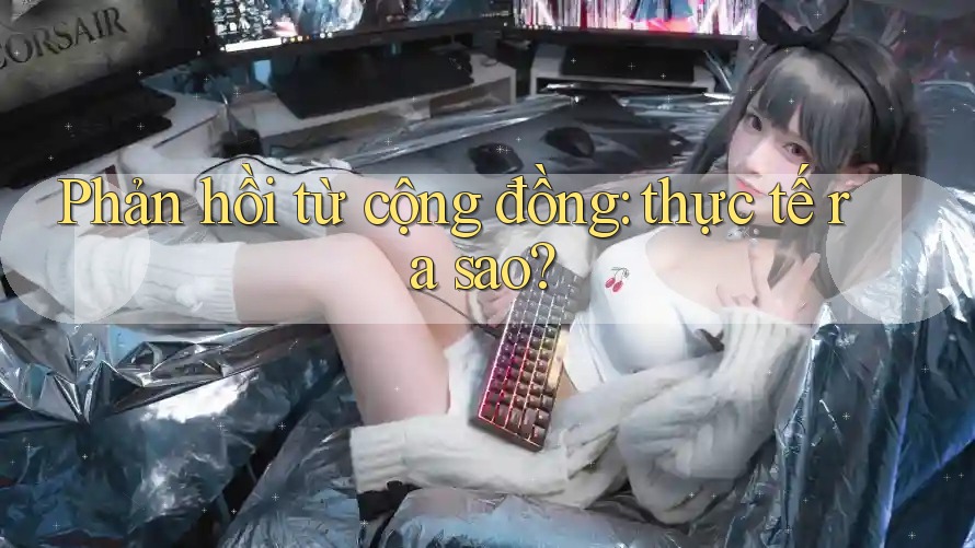 Phản hồi từ cộng đồng: thực tế ra sao? Phản hồi từ cộng đồng: thực tế ra sao?