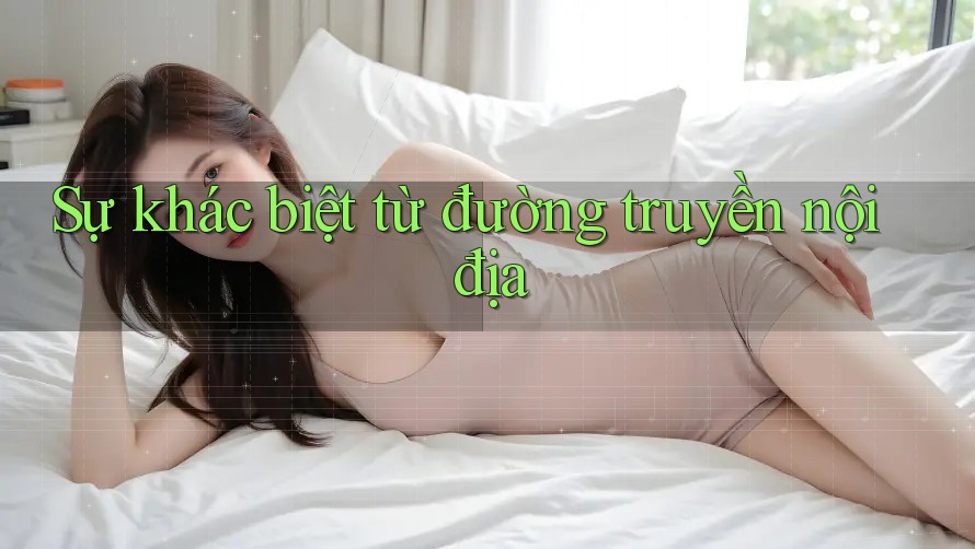 Sự khác biệt từ đường truyền nội địa Sự khác biệt từ đường truyền nội địa