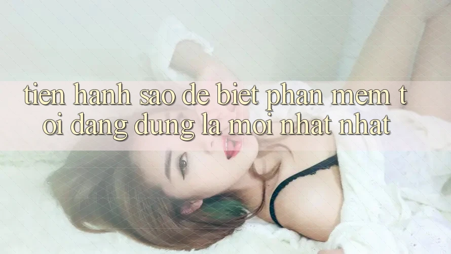 Tiến hành sao để biết phần mềm tôi đang dùng là mới nhất nhất? Tiến hành sao để biết phần mềm tôi đang dùng là mới nhất nhất?