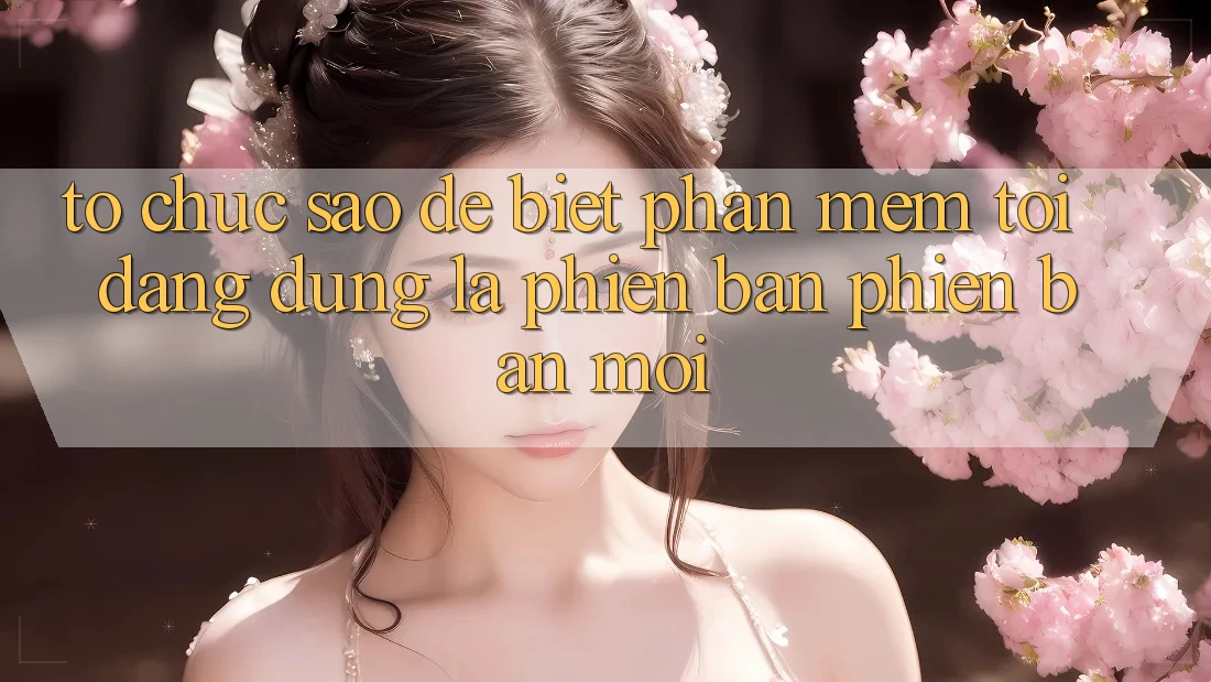 Tổ chức sao để biết phần mềm tôi đang dùng là phiên bản phiên bản mới? Tổ chức sao để biết phần mềm tôi đang dùng là phiên bản phiên bản mới?