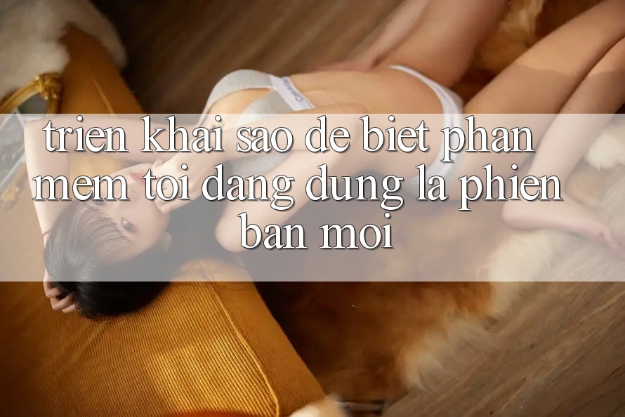 Triển khai sao để biết phần mềm tôi đang dùng là phiên bản mới? Triển khai sao để biết phần mềm tôi đang dùng là phiên bản mới?
